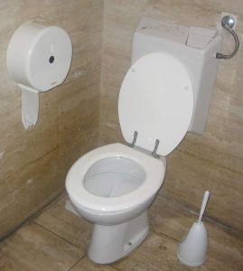 640px-Toilet_with_flush_water_tank